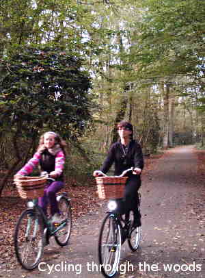 Cycling through the woods in Assen